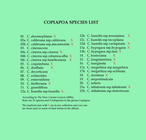 02 _Copiapoa sp.list copy